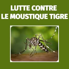 Bien agir pour lutter contre le moustique tigre